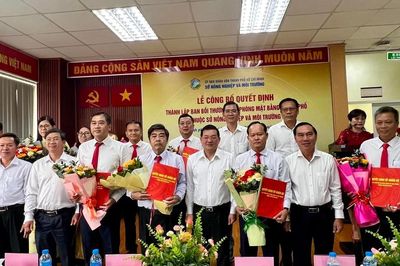 Thành lập Ban Bồi thường, giải phóng mặt bằng TPHCM