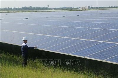 Cơ chế mua bán điện trực tiếp qua lưới điện quốc gia vận hành lần đầu tại Việt Nam