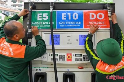 Sử dụng xăng E10: Doanh nghiệp, người dân đồng hành cùng chuyển đổi xanh