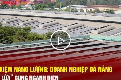Tiết kiệm năng lượng: Doanh nghiệp Đà Nẵng 'chia lửa' cùng ngành điện