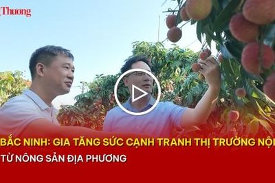 Bắc Ninh: Gia tăng sức cạnh tranh thị trường nội địa từ nông sản địa phương