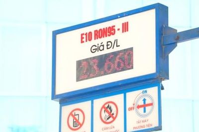 Xăng sinh học E10: Thúc đẩy chuỗi giá trị nông nghiệp nội địa