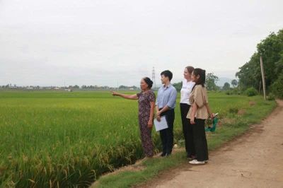 'Gieo mầm xanh' trên đồng đất xứ Thanh