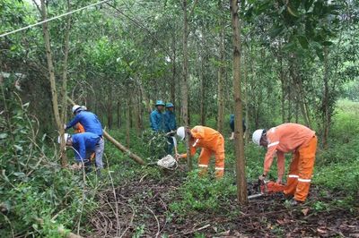 Tăng cường bảo đảm an toàn điện, chủ động phòng ngừa cháy nổ từ sớm, từ xa