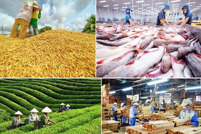 Xuất khẩu nông lâm thủy sản 5 tháng đầu năm 2026 đạt hơn 30,6 tỷ USD