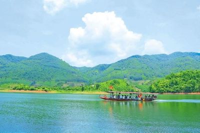 Cấm Sơn xanh hơn