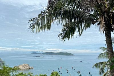 Quản lý và bảo vệ môi trường Khu Dự trữ sinh quyển thế giới Cù Lao Chàm - Hội An
