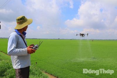 Tam Nông: Đề án 1 triệu hecta và cuộc chuyển đổi tư duy trên đồng lúa