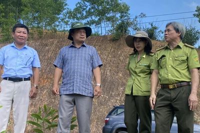 Phó Chủ tịch UBND tỉnh Dương Mah Tiệp kiểm tra công tác quản lý, bảo vệ rừng và PCCC rừng tại xã An Lão