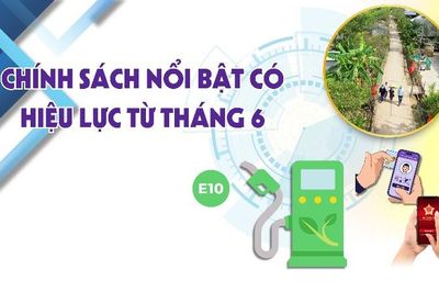 Chính sách nổi bật có hiệu lực từ tháng 6