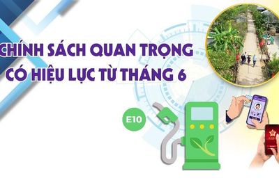 Chính sách quan trọng có hiệu lực từ tháng 6