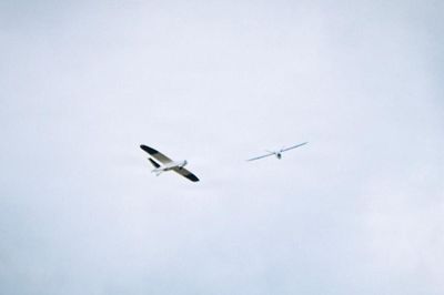Xu hướng chuyển dịch từ UAV cánh quạt sang tên lửa giá rẻ trong không chiến hiện đại