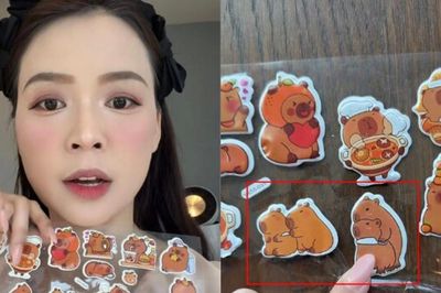 Diễn viên Sam cảnh báo rủi ro từ đồ chơi Capybara: Nguy cơ trẻ học theo hành vi bạo lực