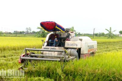 Vụ Mùa 2026: Nhận diện thách thức, chủ động ứng phó