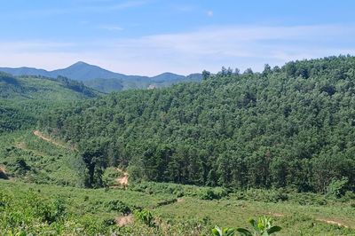 Phát triển kinh tế gắn với bảo vệ rừng