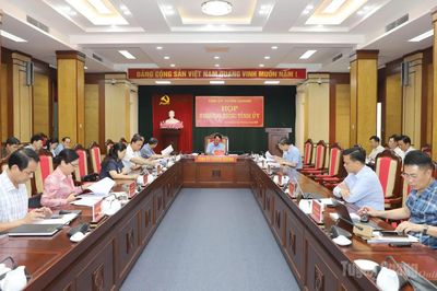 Triển khai có hiệu quả nhiệm vụ sắp xếp thôn bản, tổ dân phố
