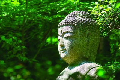 Đức Phật đản sanh: Thánh cách giác ngộ xuất hiện