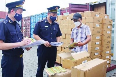 Cắt giảm đồng loạt thủ tục hải quan, doanh nghiệp giảm mạnh chi phí tuân thủ