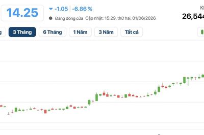 Cổ phiếu MSB giảm sàn sau nhịp tăng nóng: Nhà đầu tư thận trọng với áp lực nợ xấu?