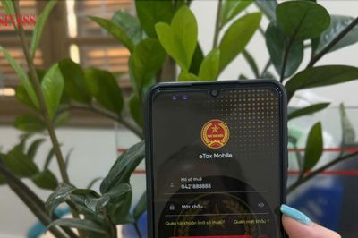 Sở hữu nhiều mã số thuế cùng lúc, người dân có cần phải làm thủ tục đóng mã cũ?