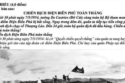 Đọc hiểu văn bản thông tin, viết đoạn văn nghị luận xã hội và bài văn nghị luận văn học