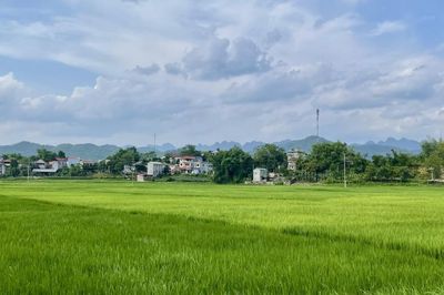 Thời tiết các khu vực trong tỉnh ngày 2/6 đêm không mưa, ngày trời nắng nóng