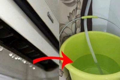 Nước thải điều hòa đừng đổ đi quá phí: Chúng có 4 công dụng thực tế ai cũng cần dùng, tiết kiệm cả đống tiền