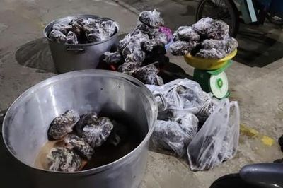 Tây Ninh: Phát hiện xe lôi chở 127kg thằn lằn núi