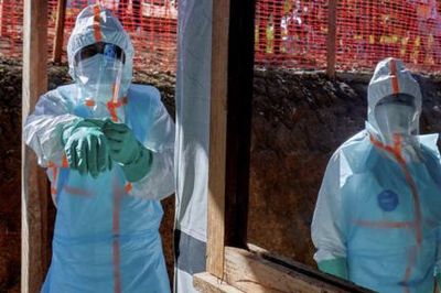 Một số ca nhiễm Ebola đã hồi phục thắp lên hy vọng khống chế dịch sớm