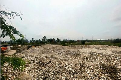 Đổ vỏ hàu ra môi trường chủ cơ sở chế biến ở Quảng Ninh bị khởi tố