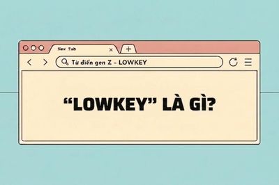 'Lowkey' là gì trong ngôn ngữ cư dân mạng trẻ?