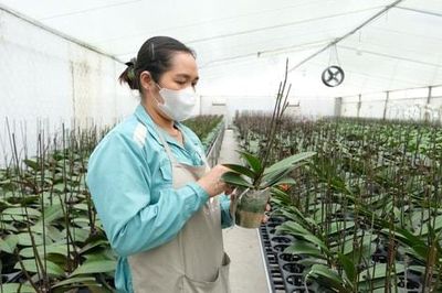 Xây dựng người nông dân Việt Nam mới