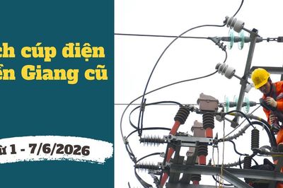 Lịch cúp điện Đồng Tháp (Tiền Giang cũ) từ 1 - 7/6/2026: Cúp điện từ 10 – 12 tiếng/ngày nhiều khu dân cư