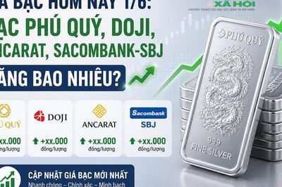 Giá bạc hôm nay 1/6: Bạc Phú Quý, Doji, Ancarat, Sacombank-SBJ tăng bao nhiêu?