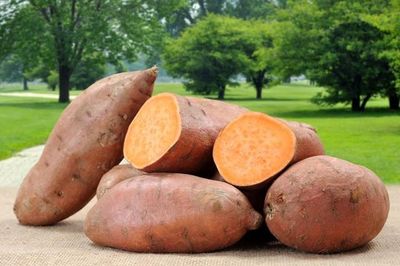 8 điều có thể xảy ra khi ăn khoai lang mỗi ngày