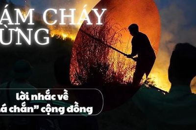 Đám cháy rừng và lời nhắc về 'lá chắn' cộng đồng