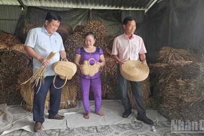 Phụ nữ Vị Thủy biến tài nguyên bản địa thành giá trị kinh tế