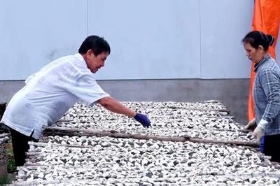 Giữ vị biển trong từng mẻ cá khô Long Hải