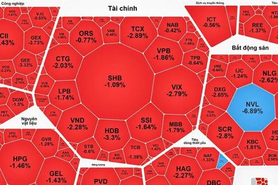 Thị trường chìm trong sắc đỏ, VN-Index giảm phiên thứ 6 liên tục