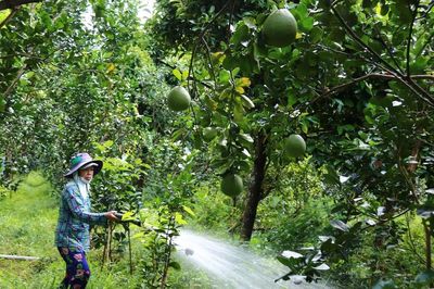 Đồng Tháp, Tây Ninh: Đảm bảo nước ngọt, chủ động ứng phó hiện tượng El Nino