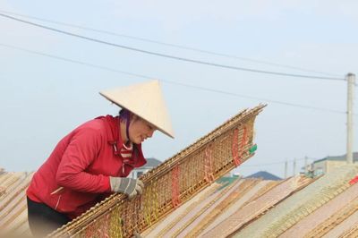 Hà Tĩnh đặt mục tiêu đào tạo hơn 10.000 lao động nông thôn đến năm 2030
