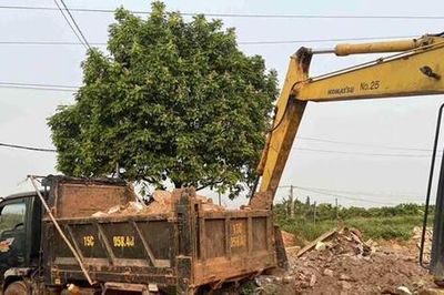Khởi tố đối tượng đổ trái phép hơn 169 tấn chất thải ra môi trường