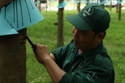 Từ 'Bàn tay vàng' đến Bằng khen của Thủ tướng