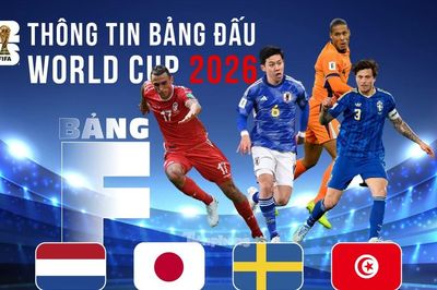 Thông tin bảng F FIFA World Cup 2026: Cạm bẫy trên hành trình của Hà Lan