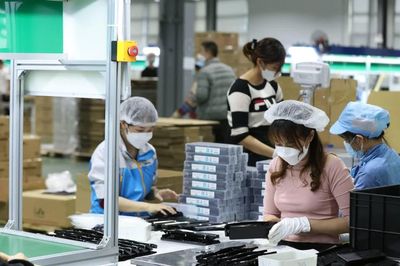 Một năm thông qua 89 luật, cắt giảm hơn 3.000 quy định: Doanh nghiệp nói gì?