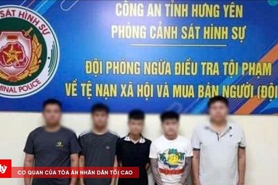 Bắt nhóm đối tượng mở hơn 100 tài khoản ngân hàng doanh nghiệp để lừa đảo