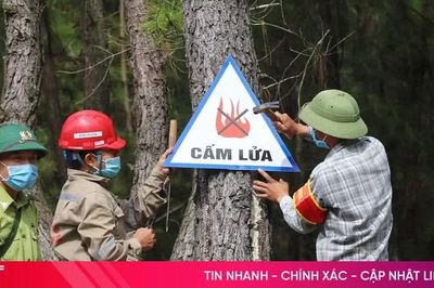 62 xã, phường của Hà Tĩnh có nguy cơ cháy rừng ở cấp cực kỳ nguy hiểm