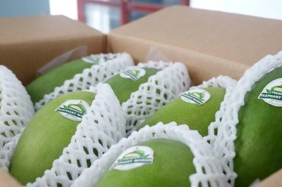 Cần Thơ cùng doanh nghiệp Hàn Quốc hợp tác nâng cao chuỗi giá trị nông sản