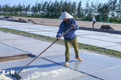 Ninh Bình: Giá muối đầu vụ tăng, diêm dân thêm động lực bám nghề