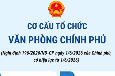 Cơ cấu tổ chức Văn phòng Chính phủ từ 1/6/2026